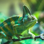 あなたの生保セールスの「マーケット」