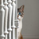「自分のこと、褒めてあげたいです」