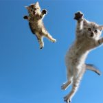 質問されたら「失敗」!