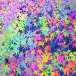 「顧客を理解する」ということ