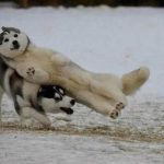 地獄の採用・・・