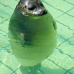 三洞の個別相談