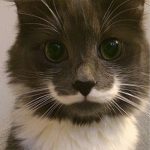 断られるなんてあり得ない！