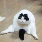 売れない理由(2)