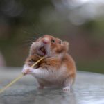 成功のために「やってはいけないこと」