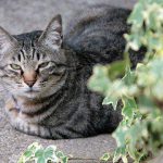 「我慢している」は注意信号