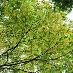 最初の15秒で決まる！