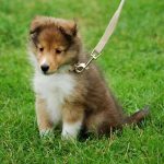 見込み客の定義が間違っています!