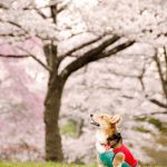 予定が入ると暗くなっちゃう(笑)