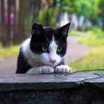 素直さと「普通の感覚」が必要