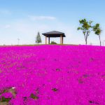 「それは生保セールスには使えない」？
