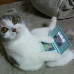 スマホでゲーム、やる?
