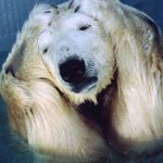 もっと早くセミナーを受講していれば・・・