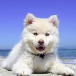 「気付かぬ内に朝になっていました!」