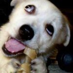 普通に、素直に考えようよ。