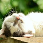 あなたのセールス、空振りじゃない?