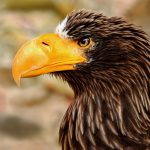 「売れるFF」の基本とは?