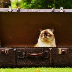 「レターの効果って・・すごいですね！」