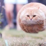 「譲歩」を得るための「提供」