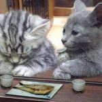 セミナー受講者の声「セミナーを受講することを強くお薦めいたします」