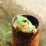 あなた、クズの奴隷でいいの?