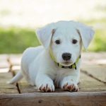 仕事ができる人って、どんな人？