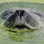生保セールスにとっての「新しい日常」