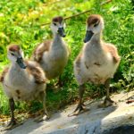 「あなたの言葉」が契約を生む