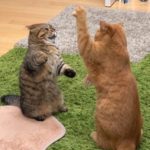 「ビジネス」と呼べるレベル