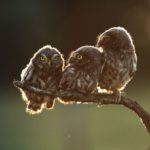見込み客、探してる？