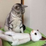「今まで教わってきたことは、すべて大間違い!」