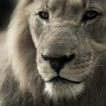 「コモディティ化」って、何？