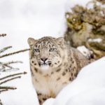 うれしいつながり