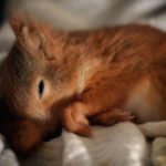 起業家としての基本的な認識