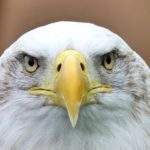 風邪が治らない原因