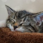 「無能」から脱却するためには?