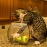 下りのエスカレーターからの脱出