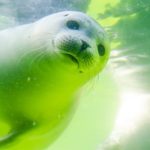 見えているからこそわかる