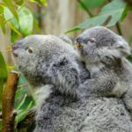 「先生の教えはこういうことか」