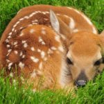 興味のないものは「見えない」