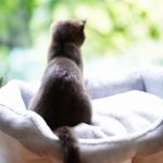 人間関係の重要性