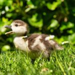 「ありたい姿」が人生を豊かにする