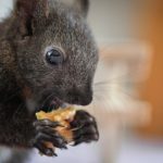 「それらしい話」が不幸をもたらす