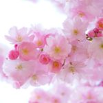 新年度直前の今こそ最適の時期!