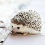 10分間の「お勉強」