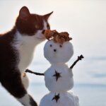 素晴らしき2021年