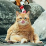 「売れるトーク」の本質