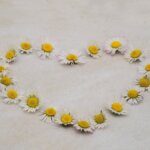 幸せの量の増やし方