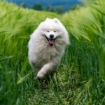 「7月と8月の2ヶ月は仕事をしない!」