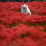 見込み客発見のための７つの気付き（その２の前編）